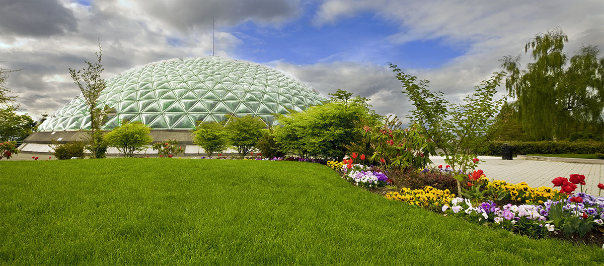 Bloedel Conservatory Going to the Chapel